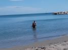 Thumbnail image of DSCF7167.JPG