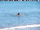 Thumbnail image of DSCF7188.JPG