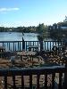 Thumbnail image of DSCF0035.JPG