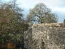 Thumbnail image of DSCF0044.JPG