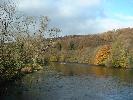 Thumbnail image of DSCF0046.JPG