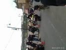 Thumbnail image of PTDC0012.JPG