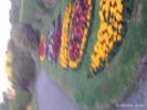 Thumbnail image of PTDC0052.JPG