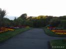 Thumbnail image of PTDC0053.JPG