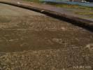 Thumbnail image of PTDC0061.JPG