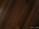 Thumbnail image of PTDC0114.JPG