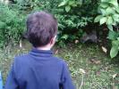 Thumbnail image of PTDC0161.JPG
