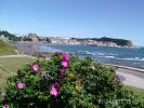 Thumbnail image of PTDC0169.JPG