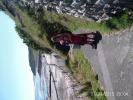 Thumbnail image of PTDC0175.JPG