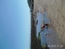 Thumbnail image of PTDC0180.JPG