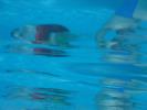 Thumbnail image of DSCF0174.JPG
