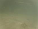 Thumbnail image of DSCF0256.JPG