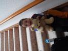 Thumbnail image of DSCF0768.JPG