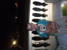 Thumbnail image of DSCF0999.JPG