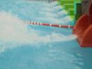 Thumbnail image of DSC01141.JPG
