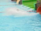 Thumbnail image of DSC01145.JPG