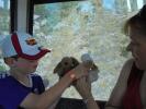 Thumbnail image of DSC01176.JPG