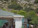 Thumbnail image of DSC01186.JPG