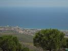 Thumbnail image of DSC01213.JPG