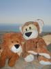 Thumbnail image of DSC01237.JPG