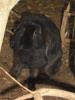 Thumbnail image of DSC01283.JPG