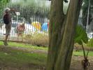 Thumbnail image of DSC01293.JPG