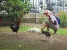 Thumbnail image of DSC01296.JPG