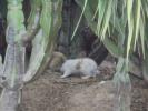 Thumbnail image of DSC01310.JPG