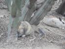 Thumbnail image of DSC01313.JPG