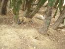 Thumbnail image of DSC01314.JPG
