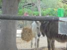 Thumbnail image of DSC01318.JPG