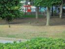Thumbnail image of DSC01031.JPG