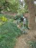 Thumbnail image of DSC01046.JPG