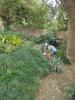 Thumbnail image of DSC01047.JPG
