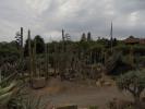 Thumbnail image of DSC01050.JPG
