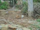 Thumbnail image of DSC01053.JPG