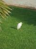 Thumbnail image of DSC01063.JPG