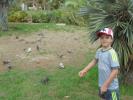 Thumbnail image of DSC01115.JPG