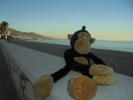 Thumbnail image of DSC01415.JPG