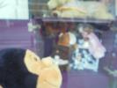 Thumbnail image of DSC01418.JPG