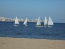Thumbnail image of DSC01445.JPG