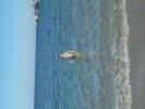 Thumbnail image of DSC01446.JPG