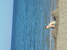 Thumbnail image of DSC01454.JPG