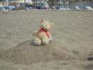 Thumbnail image of DSC01489.JPG