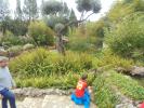 Thumbnail image of DSC01510.JPG