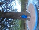 Thumbnail image of DSC01511.JPG