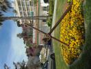 Thumbnail image of DSC01565.JPG