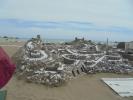 Thumbnail image of DSC01566.JPG