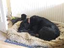 Thumbnail image of 2007_01200003.JPG