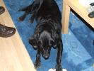 Thumbnail image of 2007_01200019.JPG